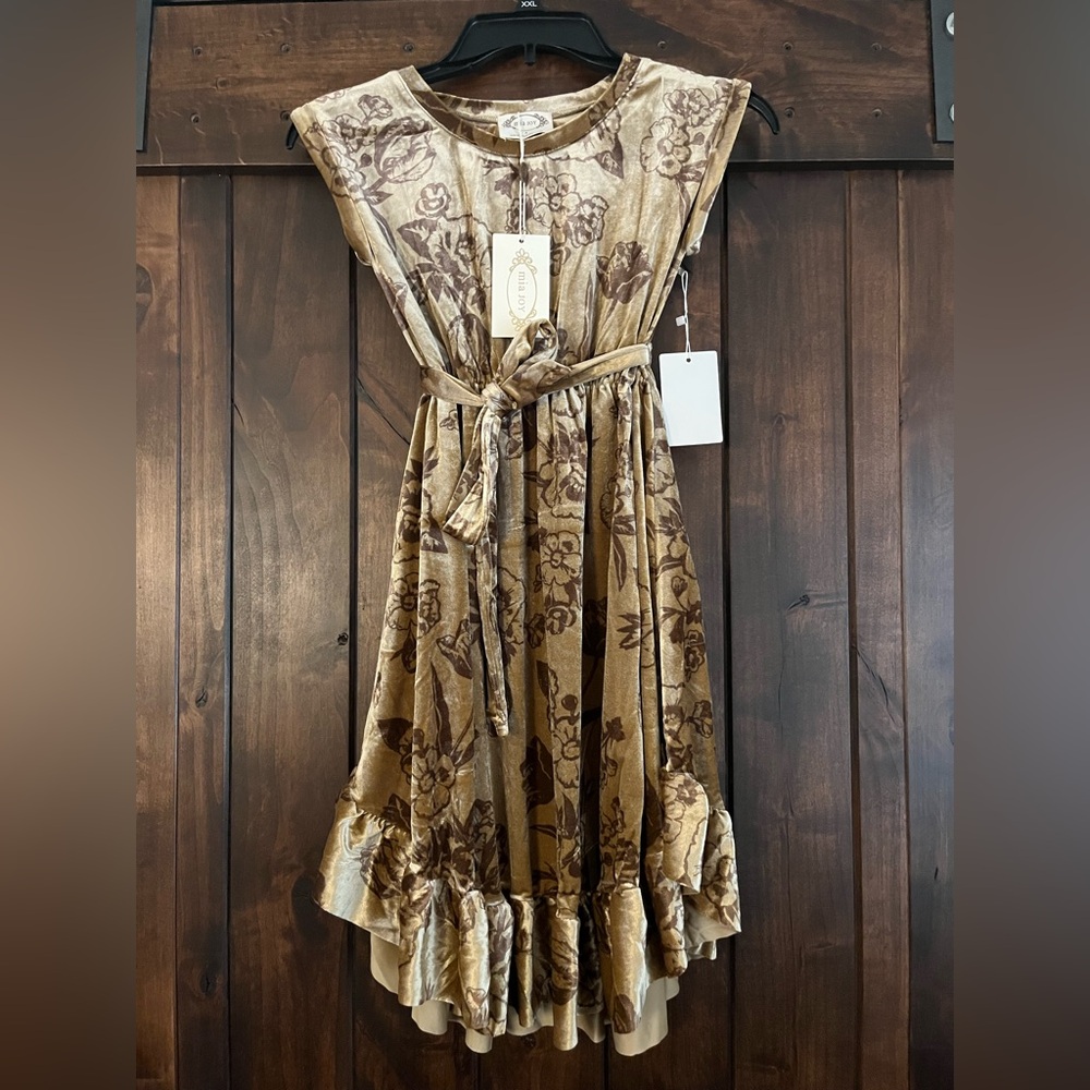 Mia Joy Floral Velvet Patterned Dress